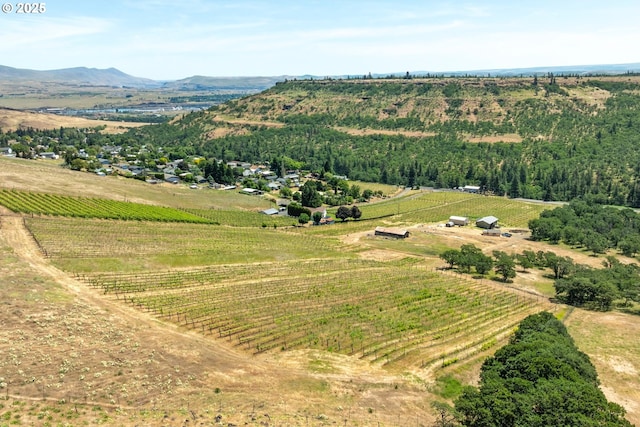 5073 Chenoweth Rd, The Dalles, OR 97058 - overview of rural landscape featuring rows of crops and a mountain backdrop