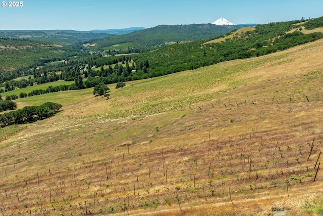 5073 Chenoweth Rd, The Dalles, OR 97058 - view of mountain backdrop with rural landscape