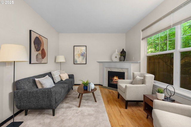 living area featuring light wood-style flooring and a fireplace