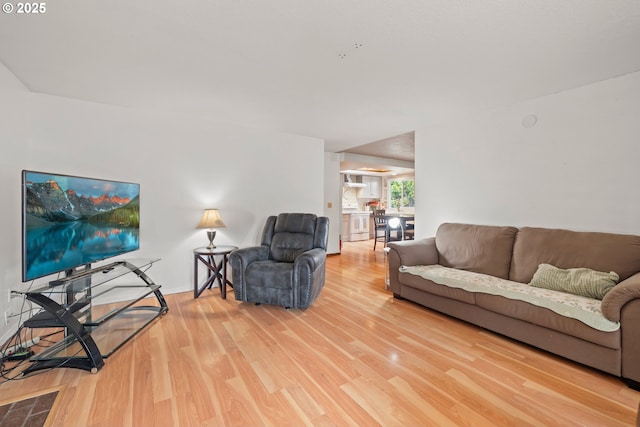 living room featuring light wood finished floors
