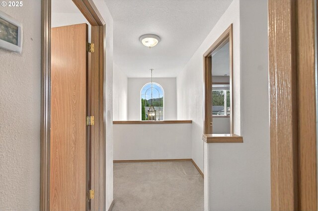 110 Wilshire Way, Kelso, WA 98626 - hallway with carpet flooring, baseboards, and a textured ceiling