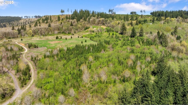 0000 NE Alvas Rd, Battle Ground, WA 98604