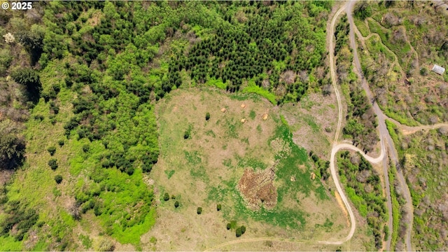 0000 NE Alvas Rd, Battle Ground, WA 98604
