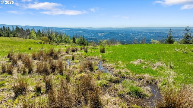 0000 NE Alvas Rd, Battle Ground, WA 98604