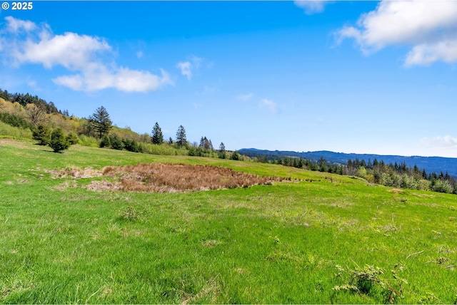 0000 NE Alvas Rd, Battle Ground, WA 98604