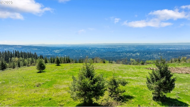 0000 NE Alvas Rd, Battle Ground, WA 98604