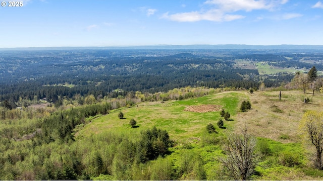 0000 NE Alvas Rd, Battle Ground, WA 98604