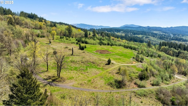 0000 NE Alvas Rd, Battle Ground, WA 98604