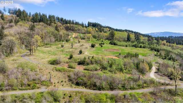 0000 NE Alvas Rd, Battle Ground, WA 98604