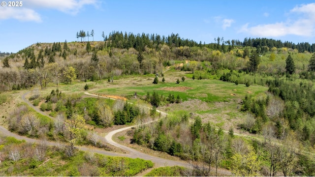 0000 NE Alvas Rd, Battle Ground, WA 98604