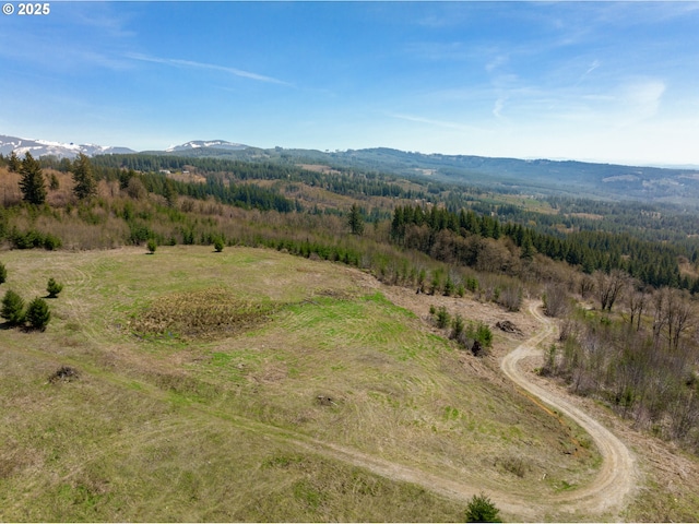 0000 NE Alvas Rd, Battle Ground, WA 98604