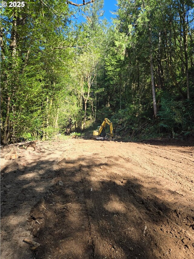 0 State Highway 138, Oakland, OR 97462