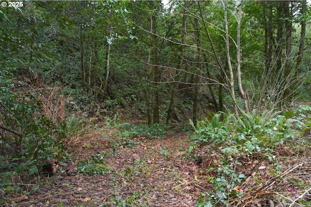 0 State Highway 138, Oakland, OR 97462