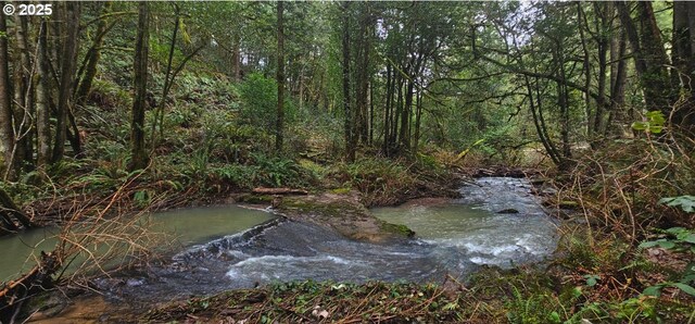 0 State Highway 138, Oakland, OR 97462