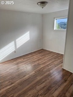 spare room with dark wood finished floors