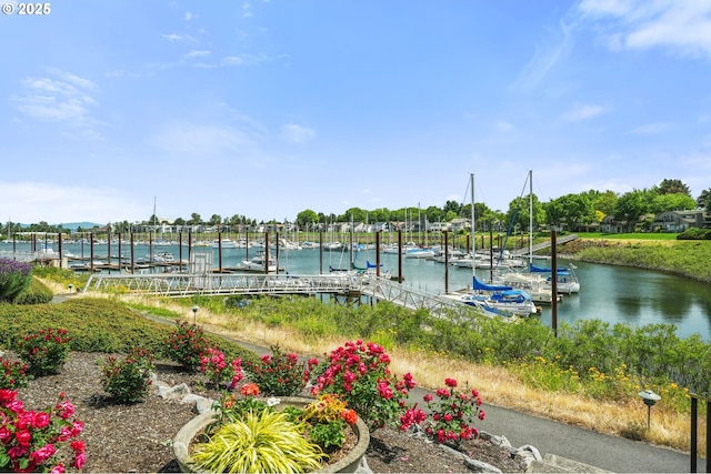 570 N Hayden Bay Dr, Portland, OR 97217 - dock with a water view
