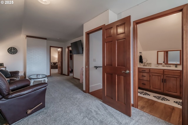 interior space featuring carpet and wood finished floors