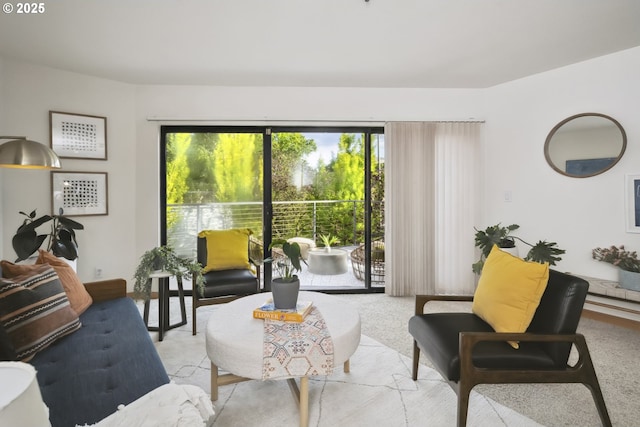 view of carpeted living area