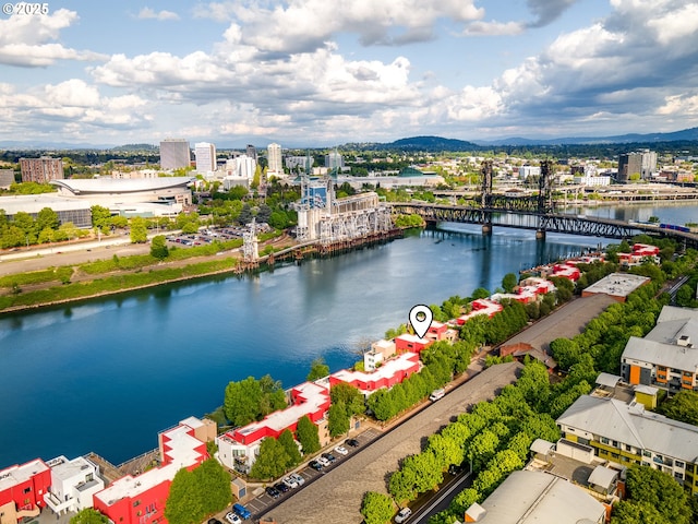bird's eye view of a notable bridge and a nearby body of water