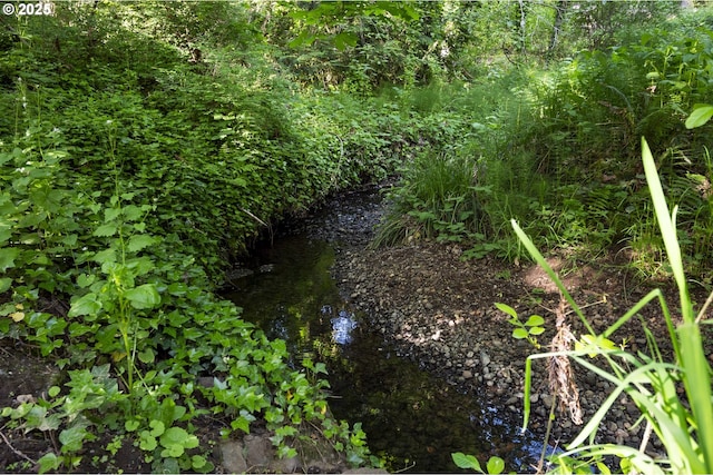 19065 Trillium Dr, West Linn, OR 97068 - view of local wilderness