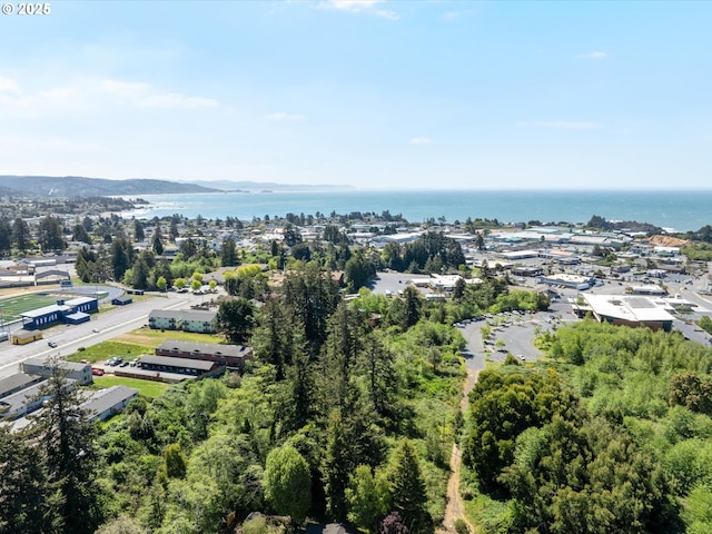 6759 Jasmine Ct, Brookings, OR 97415 - drone / aerial view featuring a water view