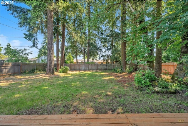 513 SE 103rd Ave, Vancouver, WA 98664 - view of yard