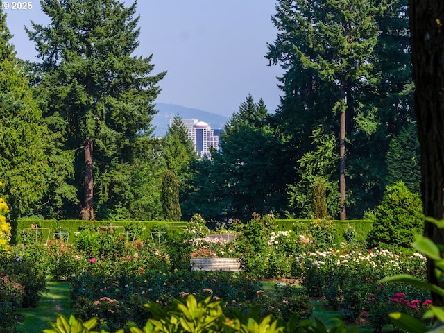 2393 SW Park Pl Unit 113, Portland, OR 97205 - view of yard