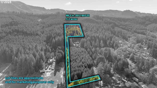 Wendling Rd, Marcola, OR 97454