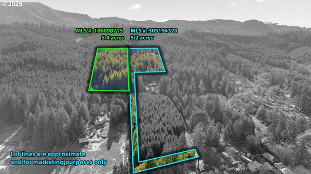 Wendling Rd, Marcola, OR 97454