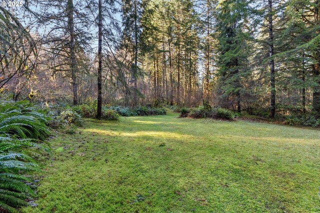 Wendling Rd, Marcola, OR 97454