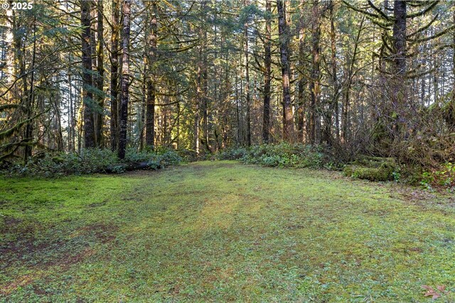 Wendling Rd, Marcola, OR 97454
