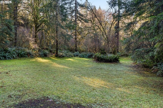 Wendling Rd, Marcola, OR 97454