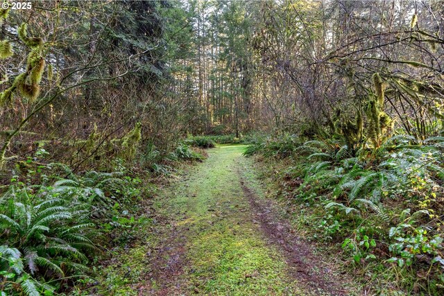 Wendling Rd, Marcola, OR 97454