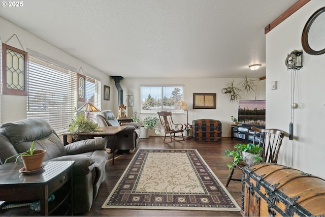 living room featuring a wealth of natural light, a textured ceiling, and dark hardwood / wood-style flooring