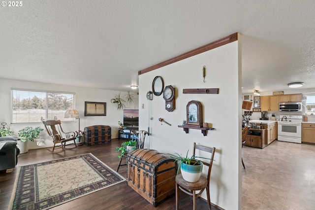 living room featuring light wood-type flooring, a textured ceiling, and a wealth of natural light