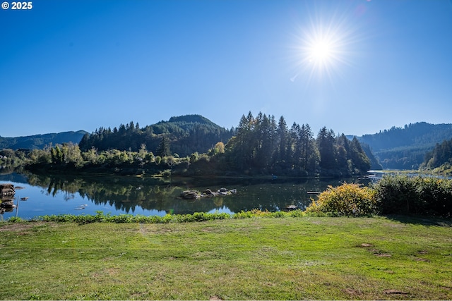 property view of water featuring a mountain view