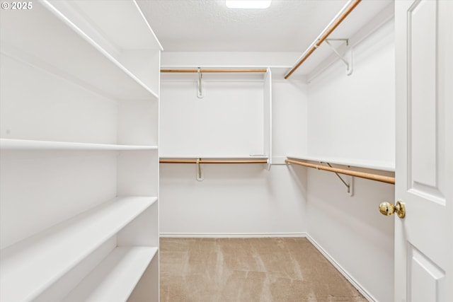 walk in closet featuring carpet