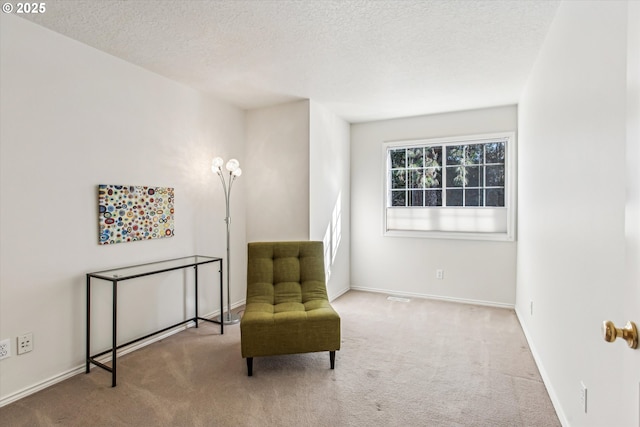 sitting room featuring carpet floors, a textured ceiling, and baseboards