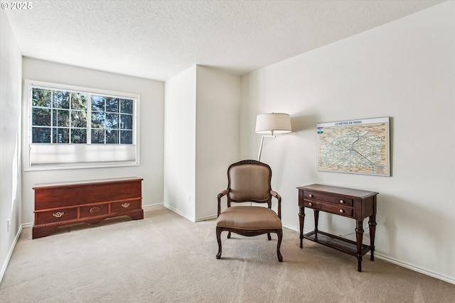 living area featuring a textured ceiling, carpet flooring, and baseboards