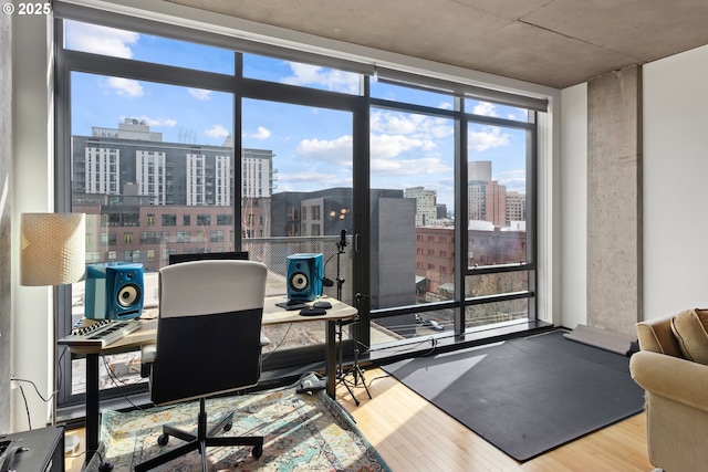 office space featuring a wall of windows, a city view, and wood finished floors