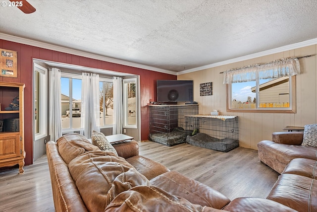 living room featuring a textured ceiling, ornamental molding, and wood-type flooring