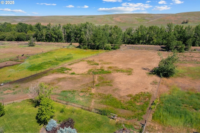 73594 Davis Ln, Pendleton, OR 97801 - view of rural area