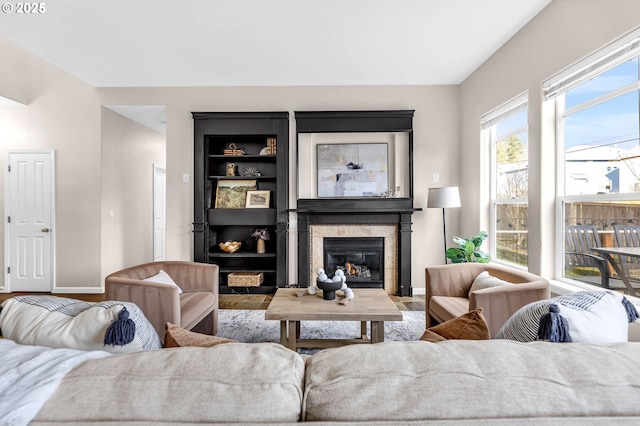 living room featuring wood-type flooring and built in features