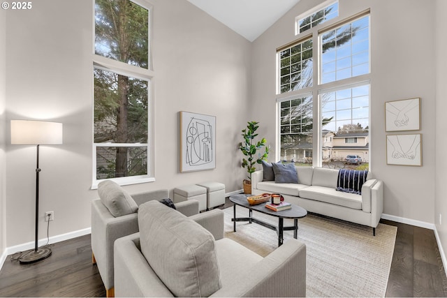 living room with hardwood / wood-style floors and high vaulted ceiling