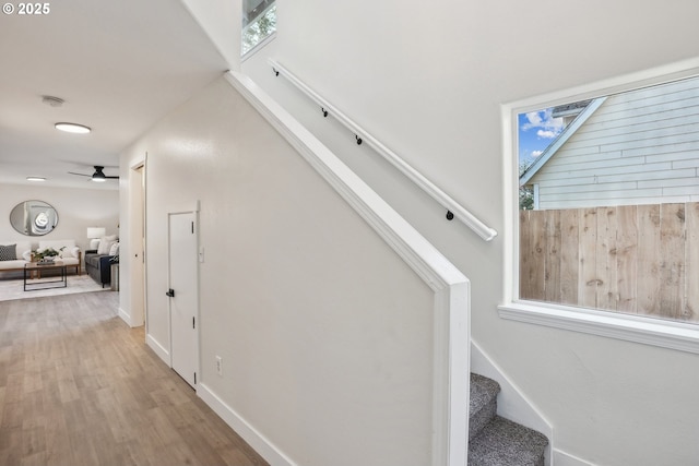 stairs with wood-type flooring and ceiling fan