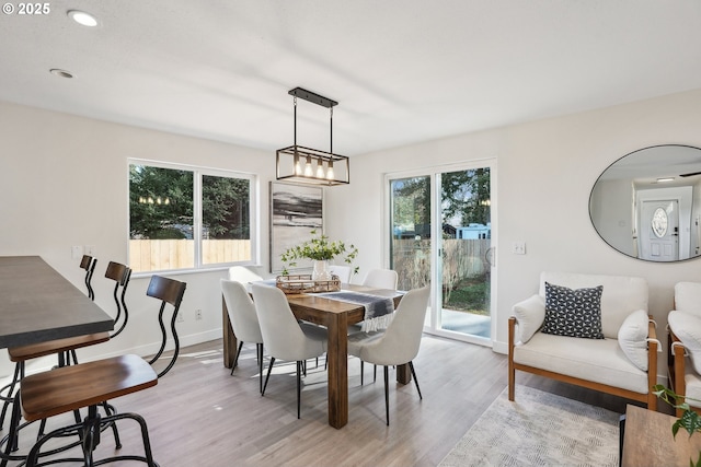 dining space with light hardwood / wood-style floors