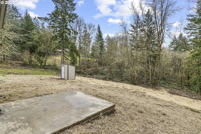 view of yard featuring a storage shed and a patio