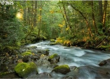25993 E Henry Creek Rd, Rhododendron, OR 97049