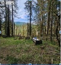 25993 E Henry Creek Rd, Rhododendron, OR 97049