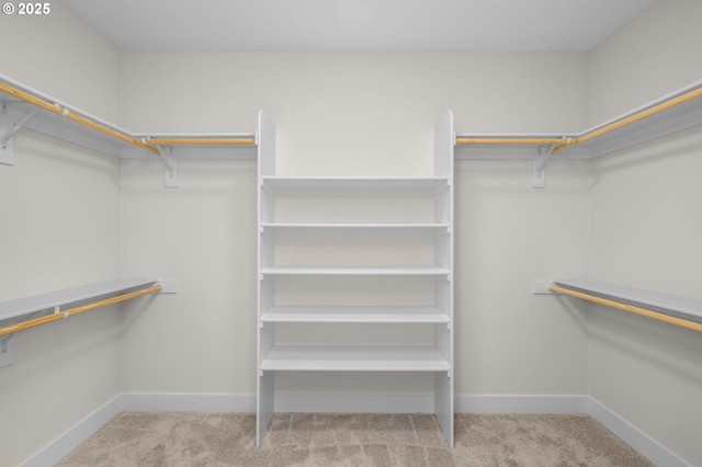 4420 NW 178th Ter Lot 27, Portland, OR 97229 - walk in closet with carpet flooring